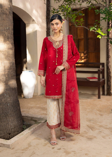 Diara Couture | Rangrez Luxe Pret | DF-46 - RED