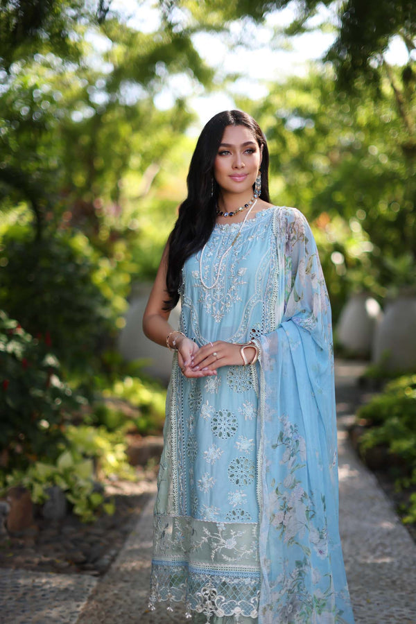 Noor by Saadia Asad | Luxury Chikankari Lawn’24 | D2-A Geroze - Khanumjan  Pakistani Clothes and Designer Dresses in UK, USA 