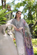 Noor by Saadia Asad | Luxury Chikankari Lawn’24 | D1-B Grey Ombre - Khanumjan  Pakistani Clothes and Designer Dresses in UK, USA 