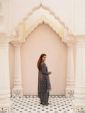 Taanabaana | Bano Series | B3218B - Khanumjan  Pakistani Clothes and Designer Dresses in UK, USA 