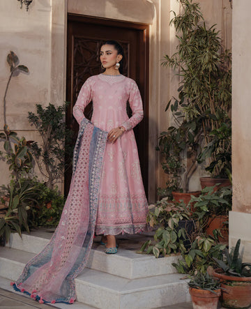 Xenia Formals | Lawn Collection 24 | Tazim - Khanumjan  Pakistani Clothes and Designer Dresses in UK, USA 
